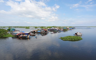 Floating gardens in Cambodia